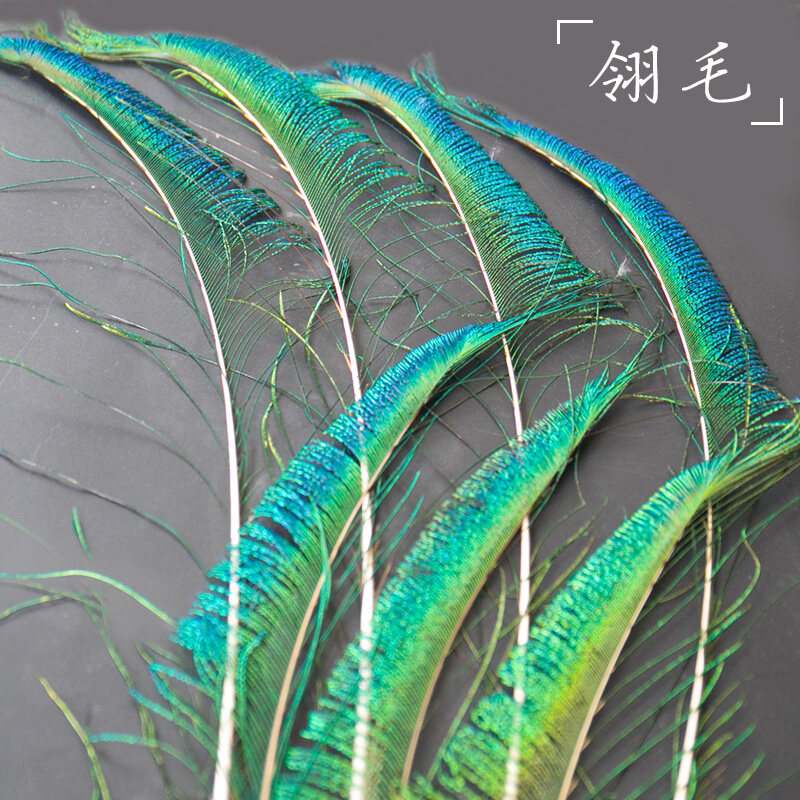 6/12pcs 70-100cm Long Real Natural Peacock Tail Feathers for Vase 6pcs Decoration Real Peacock Feather